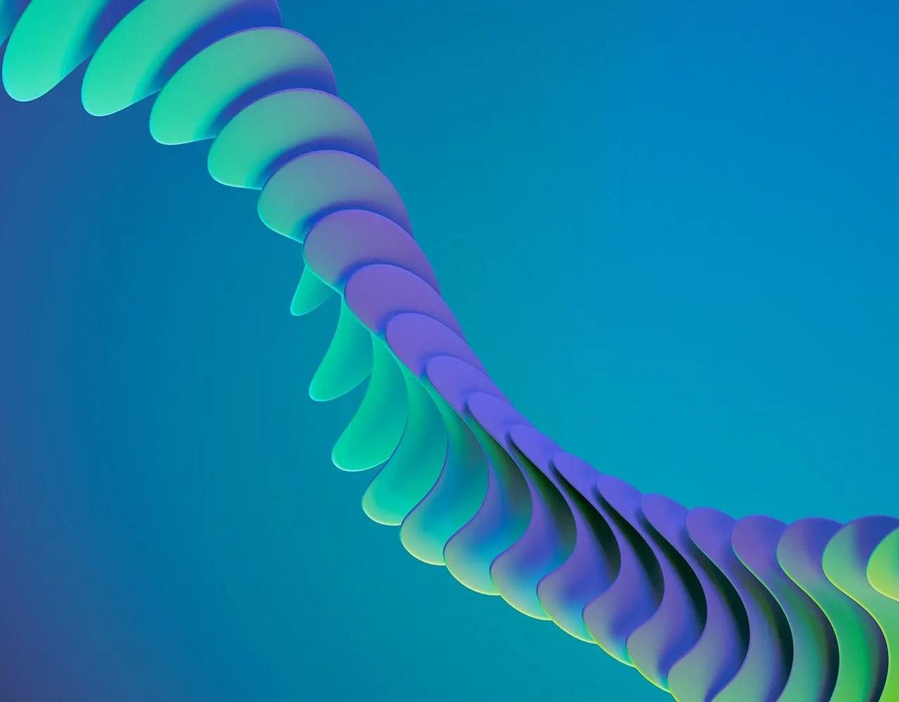 Portfolio 6