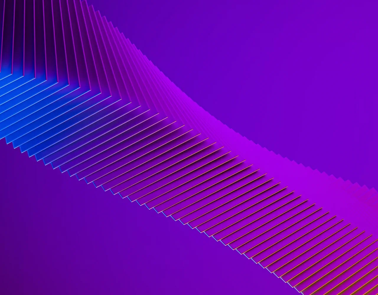 Portfolio 6